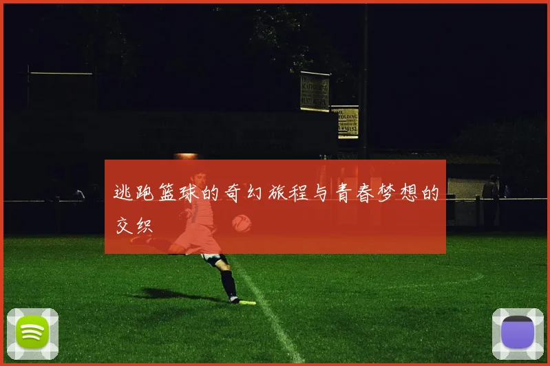 逃跑篮球的奇幻旅程与青春梦想的交织