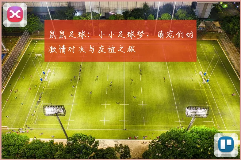 鼠鼠足球：小小足球梦，萌宠们的激情对决与友谊之旅